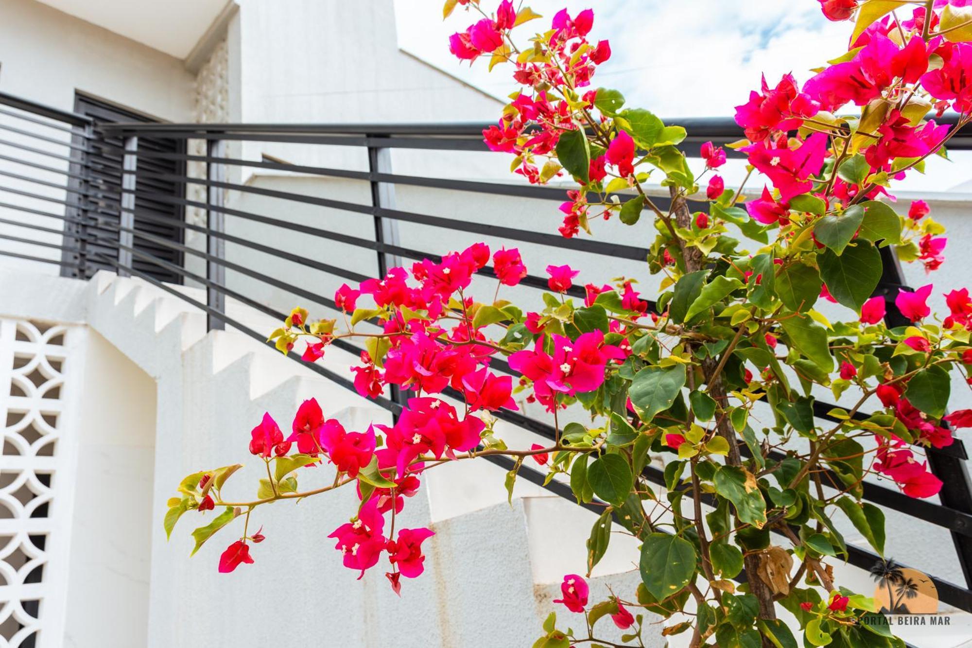 Portal Beira Mar Daire Tamandaré Dış mekan fotoğraf